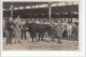 PARIS - Marché Aux Bestiaux De La Villette: Marquage Des Boeufs - Très Bon état - District 19