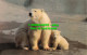 R518518 Polar Bear And Baby. M. Lyster. Zoological Society Of London. London Zoo - Sonstige & Ohne Zuordnung