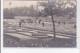 FONTENAY AUX ROSES : Carte Photo - Horticulture Ouvrière Vers 1910 - Très Bon état - Fontenay Aux Roses