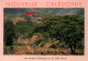 CPM - NOUVELLE-CALÉDONIE - Station D'élevage Sur La Côte Ouest ... Photo M.Hosken - Edition Footprint Pacifique - Nuova Caledonia