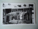 GREECE  POSTCARDS  FISHES IN MUSEUM    FOR MORE PURCHASES 10% DISCOUNT - Grèce