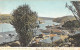 CPA / AFRIQUE DU SUD / VIEW OF BUFFALO RIVER / EAST LONDON - Afrique Du Sud