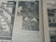 DOMENICA DEL CORRIERE 1930 CECINA PRIMO CARNERA FESTA DELL’UVA A ROMA ARTICOLO DI ARMANDO FALCONI - Sonstige & Ohne Zuordnung