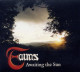 Fauns - Awaiting The Sun (CD, Album) - Rock
