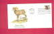 FDC - Lettre De 1981 Des USA EUAN - YT N° 1321 - Mouflon - Bighorn Sheep - Sonstige & Ohne Zuordnung