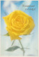 FLOWERS Vintage Postcard CPSM #PAS344.A - Flowers