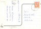 MONO Animales Vintage Tarjeta Postal CPSM #PAN988.A - Monos