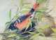 VOGEL Tier Vintage Ansichtskarte Postkarte CPSM #PAN236.A - Oiseaux