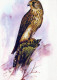 OISEAU Animaux Vintage Carte Postale CPSM #PAM674.A - Oiseaux