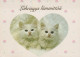 GATTO KITTY Animale Vintage Cartolina CPSM #PAM563.A - Katzen