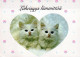 GATTO KITTY Animale Vintage Cartolina CPSM #PAM563.A - Chats