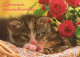 GATTO KITTY Animale Vintage Cartolina CPSM #PAM538.A - Chats