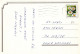 GATO GATITO Animales Vintage Tarjeta Postal CPSM #PAM482.A - Chats