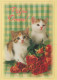 CAT KITTY Animals Vintage Postcard CPSM #PAM291.A - Chats