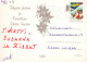 PAPÁ NOEL Feliz Año Navidad GNOMO Vintage Tarjeta Postal CPSM #PBA682.A - Santa Claus
