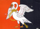 BIRD Animals Vintage Postcard CPSM #PBR544.A - Birds
