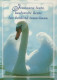 VOGEL Tier Vintage Ansichtskarte Postkarte CPSM #PBR483.A - Pájaros