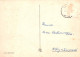 OSTERN EI Vintage Ansichtskarte Postkarte CPSM #PBO140.A - Ostern