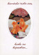 BEAR Animals Vintage Postcard CPSM #PBS360.A - Beren