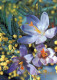 FLOWERS Vintage Postcard CPSM #PAR421.GB - Flowers