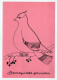 BIRD Animals Vintage Postcard CPSM #PAN161.GB - Pájaros