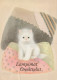 CAT KITTY Animals Vintage Postcard CPSM #PAM161.GB - Katzen