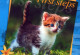 CAT KITTY Animals Vintage Postcard CPSM #PAM410.GB - Gatti