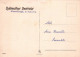 FLORES Vintage Tarjeta Postal CPSM #PAS203.ES - Fleurs