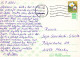 FLORES Vintage Tarjeta Postal CPSM #PAR181.ES - Blumen