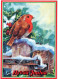 PÁJARO Animales Vintage Tarjeta Postal CPSM #PAN041.ES - Pájaros