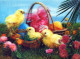EASTER CHICKEN EGG FLOWERS LENTICULAR 3D Vintage Postcard CPSM #PAZ010.GB - Easter