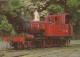 TREN TRANSPORTE Ferroviario Vintage Tarjeta Postal CPSM #PAA735.ES - Treinen