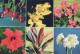 FLOWERS Vintage Postcard CPSM #PBZ309.GB - Fleurs