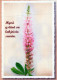 FLOWERS Vintage Postcard CPSM #PBZ249.GB - Fleurs