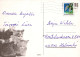 FLEURS Vintage Carte Postale CPSM #PAS504.FR - Fleurs