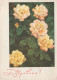 FLEURS Vintage Carte Postale CPSM #PAR423.FR - Flowers