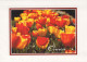 FLEURS Vintage Carte Postale CPSM #PAR122.FR - Flowers