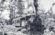 Transport FERROVIAIRE Vintage Carte Postale CPSMF #PAA384.FR - Eisenbahnen