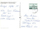 ÁRBOLES Vintage Tarjeta Postal CPSM #PBZ974.ES - Bäume