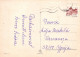 FLORES Vintage Tarjeta Postal CPSM #PBZ430.ES - Fleurs