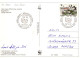 ARDILLA Animales Vintage Tarjeta Postal CPSM #PBS709.ES - Autres & Non Classés