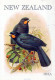 PÁJARO Animales Vintage Tarjeta Postal CPSM #PBR540.ES - Birds