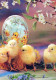 PASCUA POLLO HUEVO Vintage Tarjeta Postal CPSM #PBO844.ES - Ostern