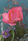 FLOWERS Vintage Ansichtskarte Postkarte CPSM #PAS205.DE - Blumen