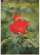 FLOWERS Vintage Ansichtskarte Postkarte CPSM #PAS265.DE - Fleurs