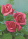FLOWERS Vintage Ansichtskarte Postkarte CPSM #PAR964.DE - Blumen