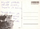 HUND Tier Vintage Ansichtskarte Postkarte CPSM #PAN803.DE - Dogs