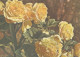 FLOWERS Vintage Ansichtskarte Postkarte CPSM #PAR424.DE - Blumen