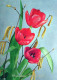 FLOWERS Vintage Ansichtskarte Postkarte CPSM #PAR062.DE - Fiori