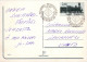 VOGEL Tier Vintage Ansichtskarte Postkarte CPSM #PAN287.DE - Birds